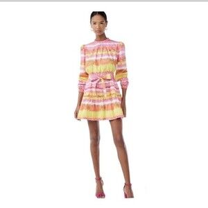 NWT Scoop Babydoll Mock Neck Tiered Peasant Dress Size Small 6 / S